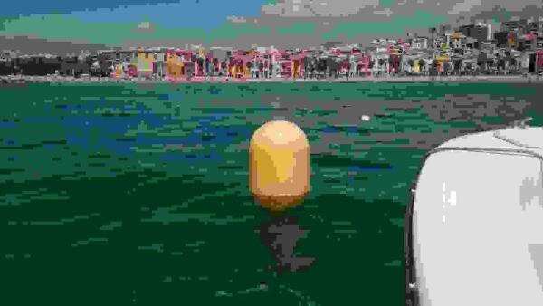 Mantenimiento de playas delimita las zonas de ba&ntilde;o de las playas de la Vila Joiosa