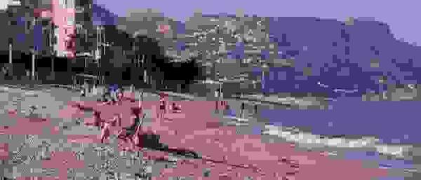 Las consultas en la Tourist Info de Altea se duplicaron respecto al mes de junio del a&ntilde;o pasado