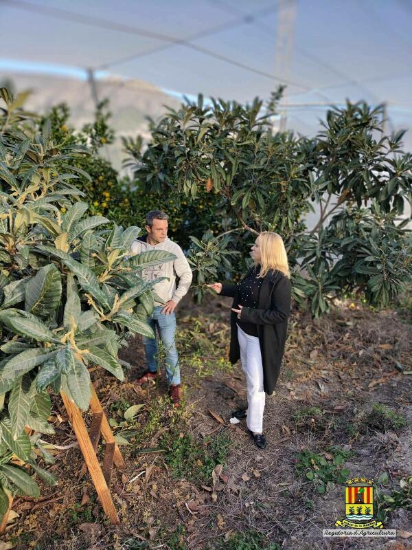 La nueva concejalía de Agricultura del Ayuntamiento de Polop de la Marina impulsa la creación de la Asociación de Agricultores de Polop.