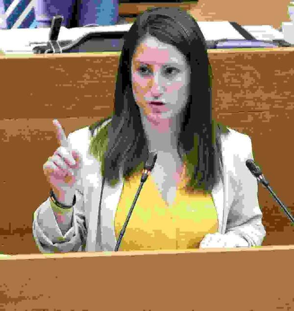 VOX acudir&aacute; a los tribunales si se vota el jueves la Ley del Juego de forma ilegal
