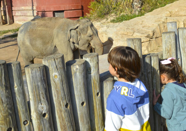 Terra Natura Benidorm lanza una oferta especial de ocio educativo para familias de las AMPAS 