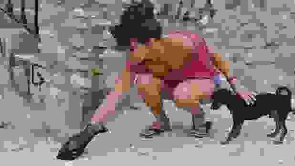 Valencia multar&aacute; a los due&ntilde;os de mascotas que los saquen a la calle sin bolsas para los excrementos