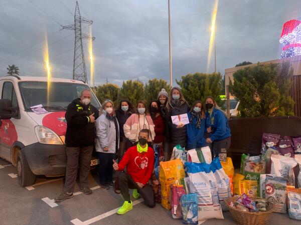 El “Car Show solidario” a beneficio de la Protectora de Animales reunió 400 coches  