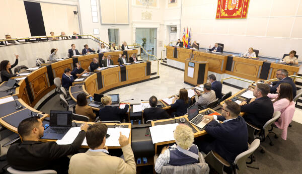 El pleno de la Diputación de Alicante se suma al Día Internacional para la eliminación de la violencia contra la mujer 