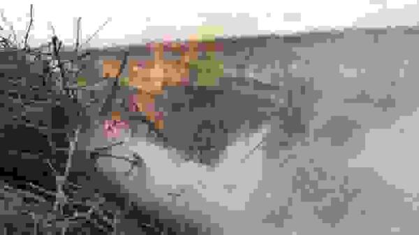 Las autorizaciones del Plan Local de Quemas del Ayuntamiento de la Vila se prorrogan hasta el 31  de mayo