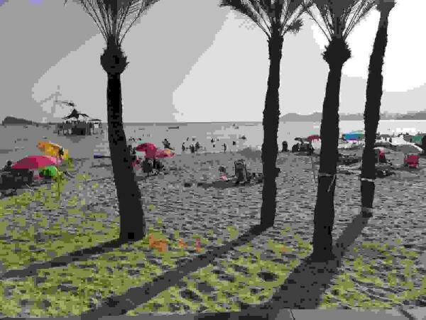 Ciudadanos reclama una campa&ntilde;a promocional intensiva dirigida al mercado nacional m&aacute;s pr&oacute;ximo para rescatar la temporada estival 