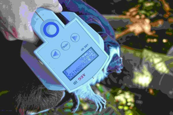 T&eacute;cnicos de CITES visitan las instalaciones  de Terra Natura Benidorm.