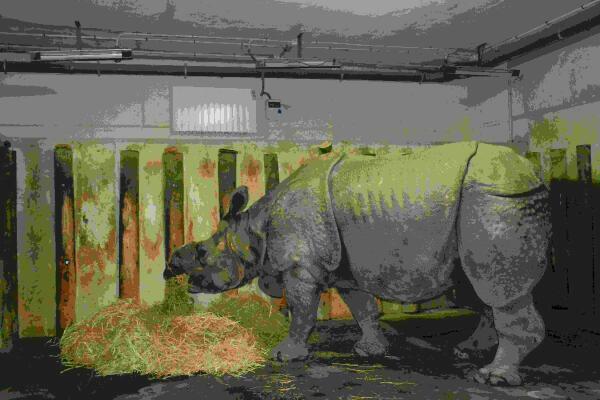 Las especies de Terra Natura Benidorm combaten el fr&iacute;o con papillas calientes y calefactores