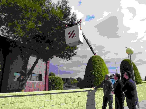 La Nuc&iacute;a &middot; Campa&ntilde;a Municipal Anual contra la Procesionaria del Pino 