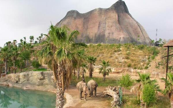 Terra Natura Benidorm desmitifica creencias populares sobre distintas especies animales mediante actividades educativas