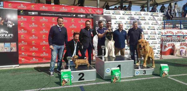 220 perros participaron en el  IX Concurso Nacional Canino de La Nucía 