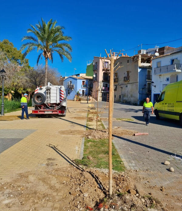 El Ayuntamiento de Villajoyosa planta nuevos &aacute;rboles en la desembocadura del r&iacute;o Amadorio y el CEIP Doctor &Aacute;lvaro Esquerdo para ampliar la zona de sombra&nbsp;