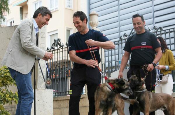 El Patronato Costa Blanca activa un sello ‘Pet Friendly’ para impulsar en la provincia el turismo con mascotas