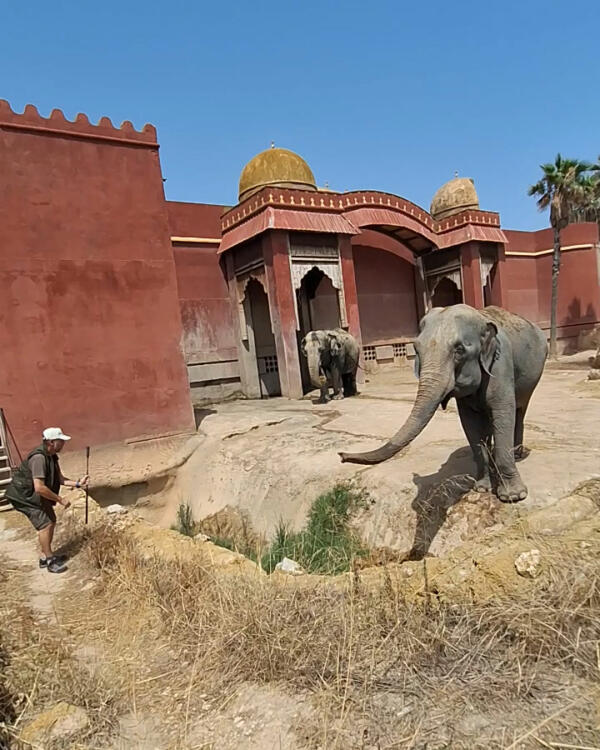 Terra Natura Benidorm participa en un estudio sobre el comportamiento animal durante el eclipse de sol 