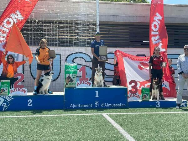 Grandes resultados del Club Agility La Nucía en la liga valenciana