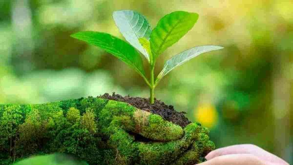 &ldquo;El Reto del Reciclaje&rdquo; visita La Nuc&iacute;a para concienciar a la ciudadan&iacute;a 