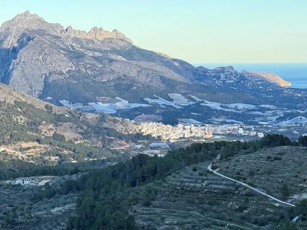 Callosa d'en Sarri&agrave; recibir&aacute; 40.000 euros de la Generalitat para mejorar las infraestructuras agr&iacute;colas y de riego