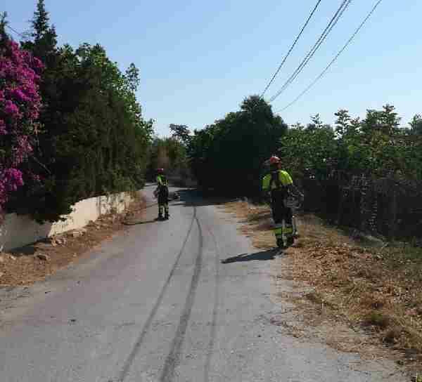 Medio Ambiente inicia labores de desbroce de caminos y parcelas municipales en la Vila