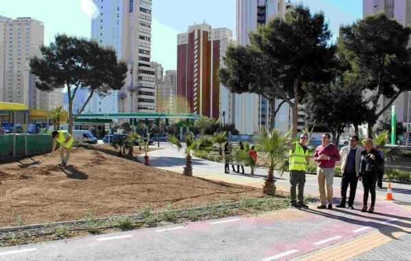 Benidorm &middot; Los alumnos de Jardiner&iacute;a del Taller de Empleo Benidorm VI inician la adecuaci&oacute;n del entorno de la S&eacute;quia Mare