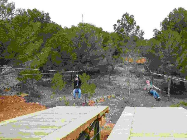 El Forestal Park La Nuc&iacute;a se amplia con 1,5 km. de tirolinas