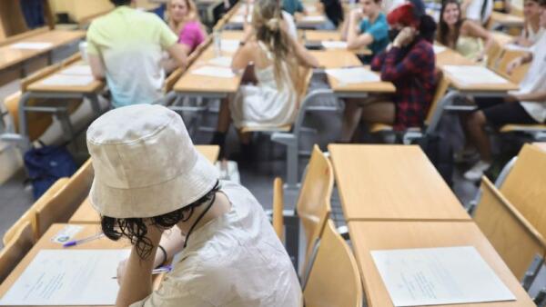 La carrera que no tiene demanda y sí un 100% de salida laboral, según las universidades