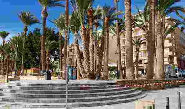 Benidorm &middot; Rachas de m&aacute;s de 60 km/hora provocan la ca&iacute;da de varios &aacute;rboles en la v&iacute;a p&uacute;blica y aconsejan cerrar preventivamente el Parque de Elche