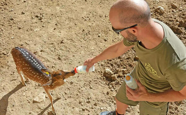 Terra Natura Benidorm reivindica el cuidado responsable de las mascotas con motivo de la festividad de San Ant&oacute;n 