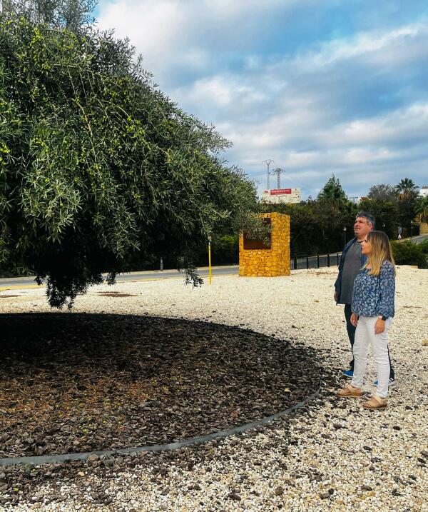 EL AYUNTAMIENTO DE FINESTRAT OFRECE A LOS VECINOS LA POSIBILIDAD DE RECOGER LAS ACEITUNAS DE LOS ESPACIOS PÚBLICOS DE LA LOCALIDAD 