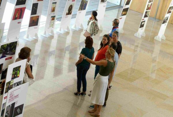 Benidorm inaugura la exposici&oacute;n &lsquo;No em toques el WhatsApp&rsquo; en el Espai d&rsquo;Art
