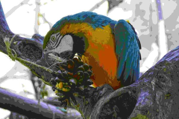 Las animales de Terra Natura Benidorm disfrutarán de experiencias sensoriales con motivo de San Antón