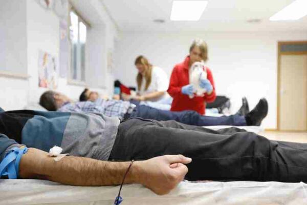 L&rsquo;Alf&agrave;s acoge ma&ntilde;ana un marat&oacute;n de donaci&oacute;n de sangre y m&eacute;dula
