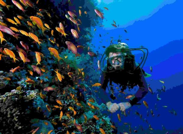 La Vila Joiosa prepara su participaci&oacute;n en el 2&ordm; Sal&oacute;n Internacional de Actividades Acu&aacute;ticas, MEDSEA