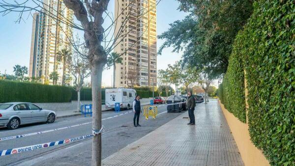 Benidorm sustituirá 250 árboles dañados en Els Tolls y el Rincón de Loix 