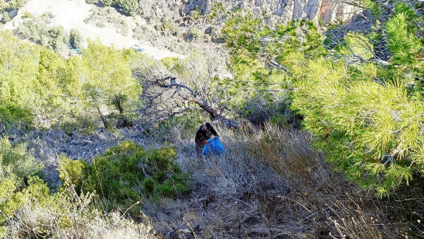 Benidorm realiza una limpieza intensiva en el Parc Natural de la Serra Gelada