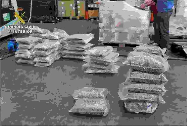 La Guardia Civil de Alicante desmantela una organizaci&oacute;n criminal dedicada a la exportaci&oacute;n de marihuana con destino Reino Unido 
