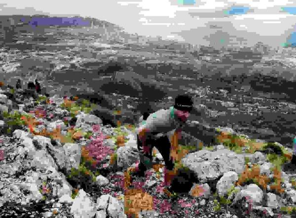 Ma&ntilde;ana finaliza el plazo para participar en el &ldquo;Kil&oacute;metro Vertical Puig Campana&rdquo; que se celebra este domingo en Finestrat