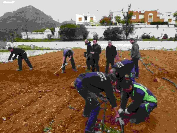 La Nuc&iacute;a &middot; Los Eco Huertos del Copet entrar&aacute;n en funcionamiento en enero de 2019