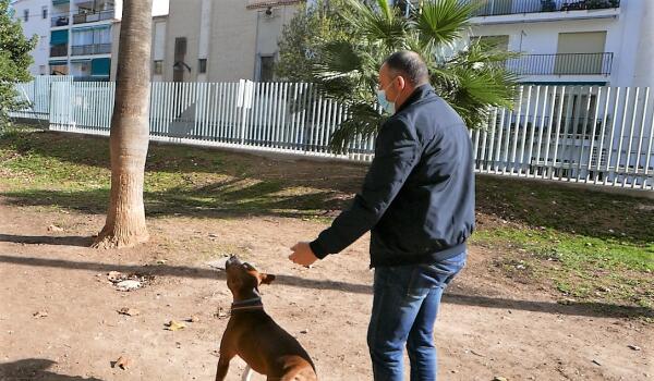 La Pública rehabilitará el Parque Canino de Altea con las mejoras proyectadas desde Infraestructuras 