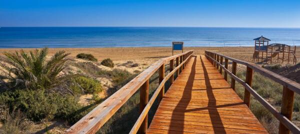 Toni Pérez: “El récord de la provincia en banderas azules demuestra el liderazgo de la Costa Blanca en turismo sostenible y accesible”