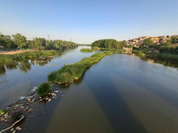 16&deg; D&iacute;a Camino del Sureste  Benidorm - Santiago de Compostela  Medina del Campo - Mota del Marqu&eacute;s  50 kil&oacute;metros 