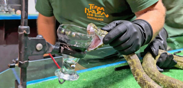 Terra Natura Benidorm participa en una formaci&oacute;n especializada sobre liofilizaci&oacute;n de venenos en el Instituto de Ven&oacute;mica Evolutiva y Traslacional (IBV-CSIC)