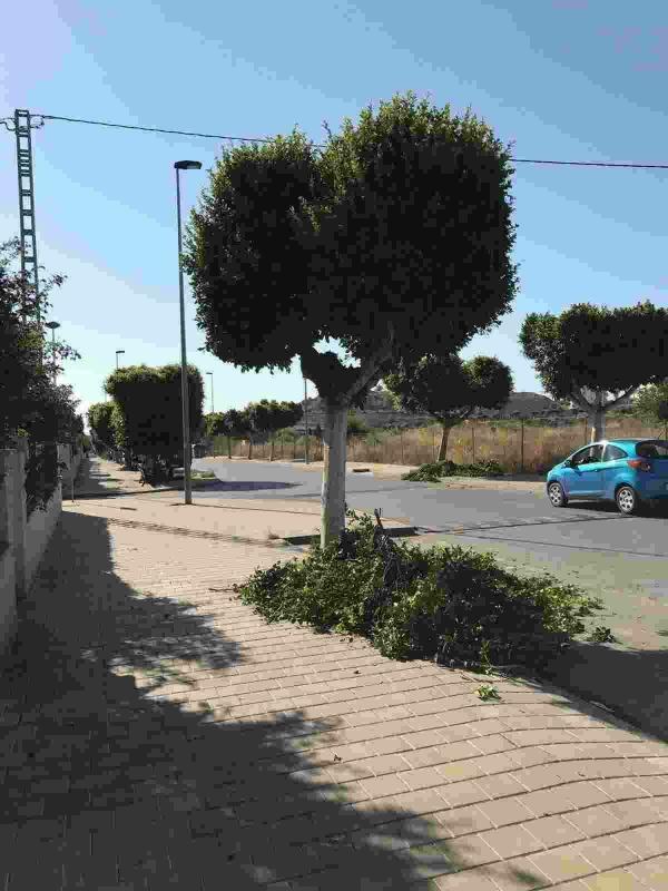 La Vila &middot; Parques y Jardines inicia la poda y tratamiento del arbolado de v&iacute;as p&uacute;blicas 