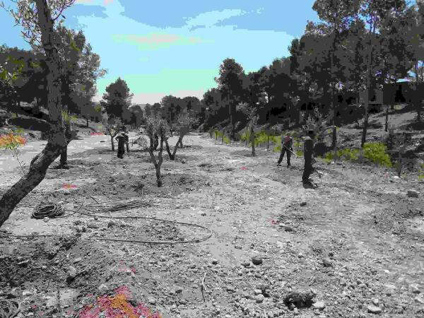 La Nucía // Residencial Varadero contará con un área “deportiva-recreativa”  de 15.000 m2  