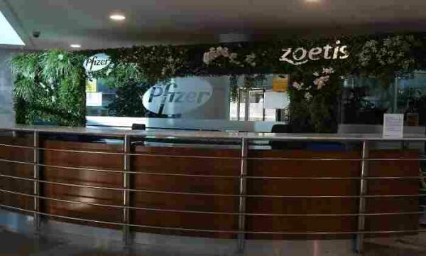 Pfizer asegurará el transporte de su vacuna pero España debe tener un plan de administración
