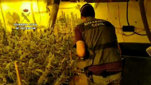 La Guardia Civil desmantela una organizaci&oacute;n criminal dedicada a la distribuci&oacute;n de marihuana por toda Europa  