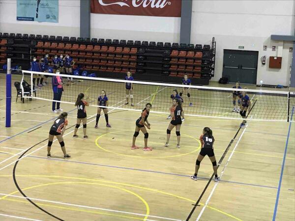 Los equipos de Voley debutaron en preferente ante el Racing Playas San Juan 