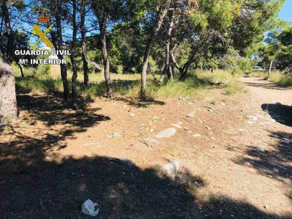 Un vecino de Torrevieja denuncia haber sido secuestrado y termina detenido por simulaci&oacute;n de delito 