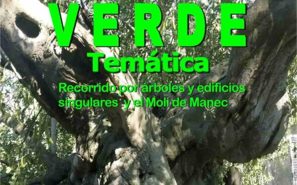 Ya te puedes apuntar a la &lsquo;Caminata Verde&rsquo; entre &aacute;rboles singulares de l&rsquo;Alf&agrave;s. 