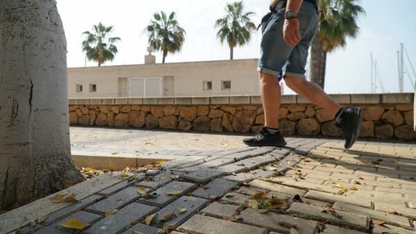 Los Servicios Técnicos del Ayuntamiento nivelan los alcorques del paseo del puerto deportivo de la Vila Joiosa