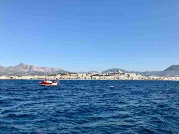 La Cofradía de Pescadores de Altea obtiene el distintivo “Marca Parc Natural”